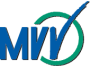 MVV-Auskunft